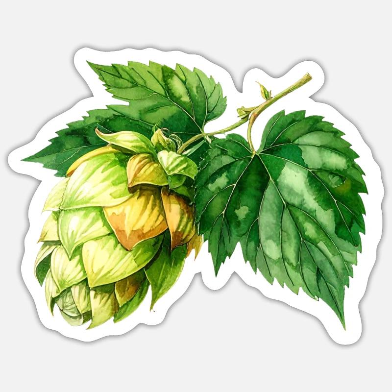 Houblon - aquarelle - Sticker taille S (10 x 10 cm) - blanc mat
