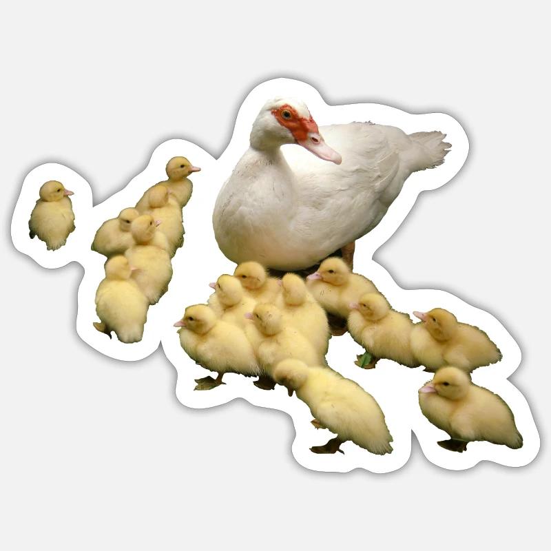 Flying duck with chicks Sticker size S (10 x 10 cm)