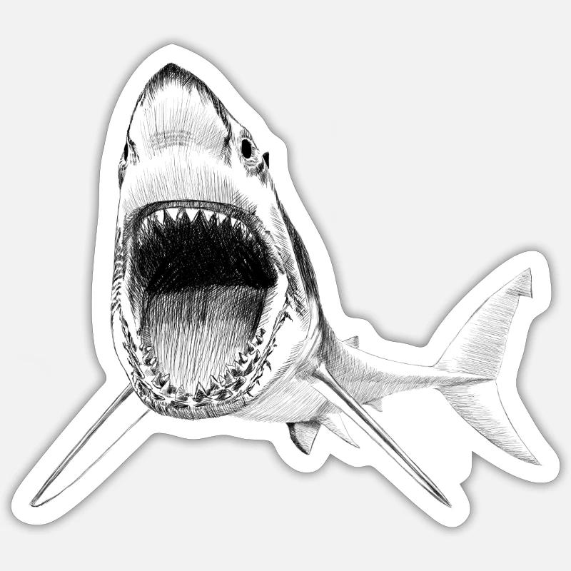 shark - Sticker taille S (10 x 10 cm) - blanc mat