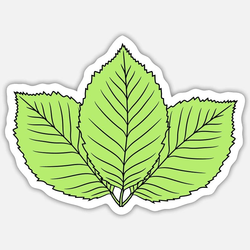3 leaves beech leaf tree plant shape clip art d Sticker size S (10 x 10 cm)