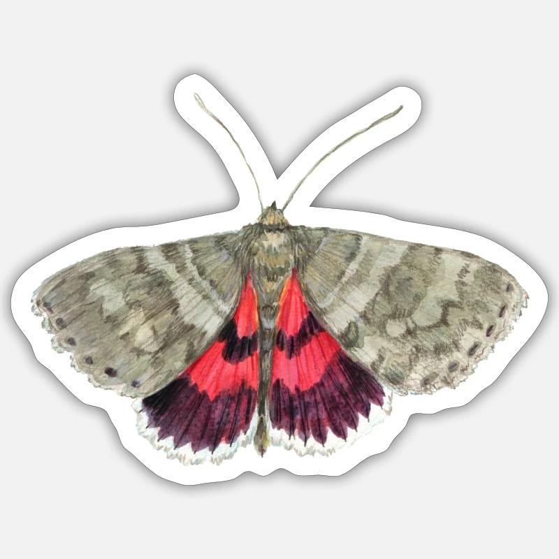 Red underwing - Sticker size S (10 x 10 cm) - white matte