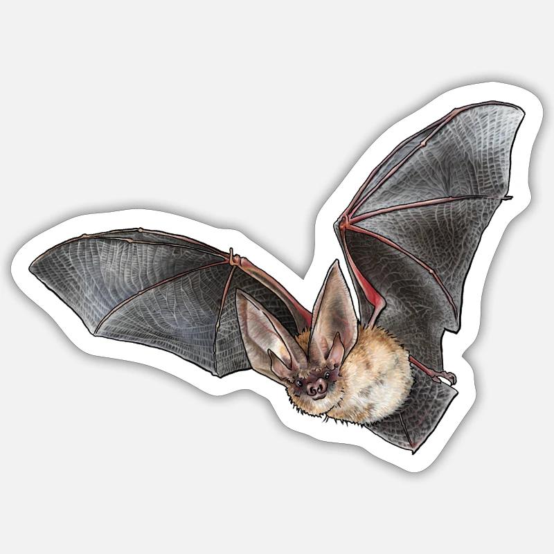 Brown long-eared individually Sticker size S (10 x 10 cm)
