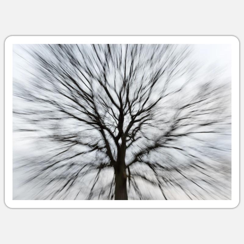 Silhouette eines kahlen Baumes mit runder Baumkrone Sticker Größe S (10 x 10 cm)