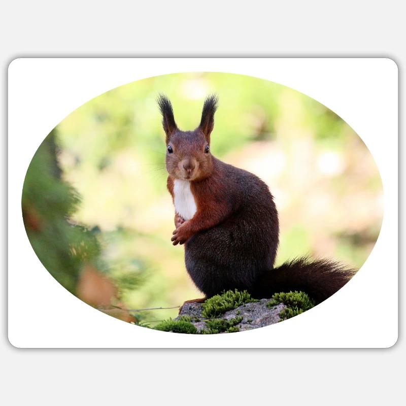 Eichhörnchen, Isibat Sticker Größe S (10 x 10 cm)