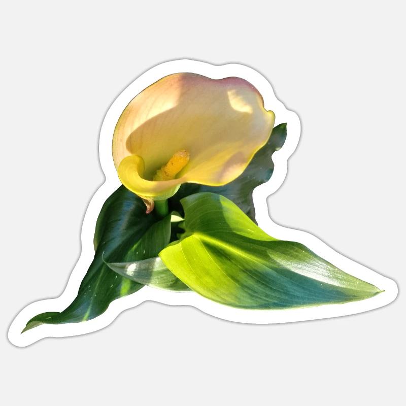 LYS CALLA JAUNE Sticker taille S (10 x 10 cm)