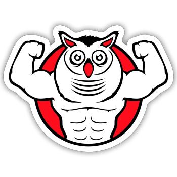 Eule Bodybuilder Muskeln Bizeps Posen Gym Rat Cool - Sticker Größe S (10 x 10 cm) - Mattweiß - Vorne