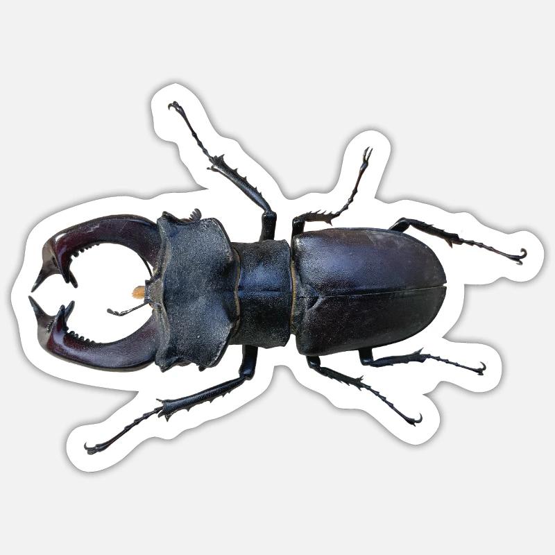 Hirschkäfer  - Sticker size S (10 x 10 cm) - white matte