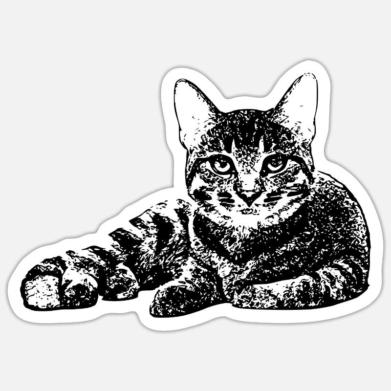 Chat gueule de bois chat kot kat chat Sticker taille S (10 x 10 cm)