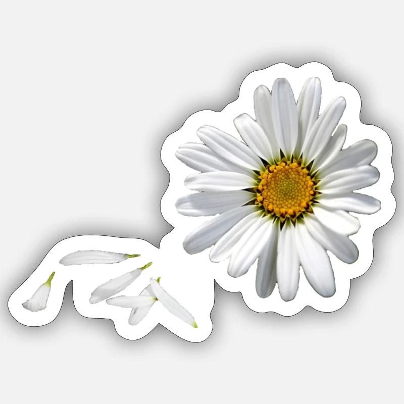daisy - Sticker size S (10 x 10 cm) - white matte