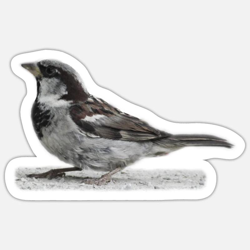 Spatz Vogel - Sticker Größe S (10 x 10 cm) - Mattweiß