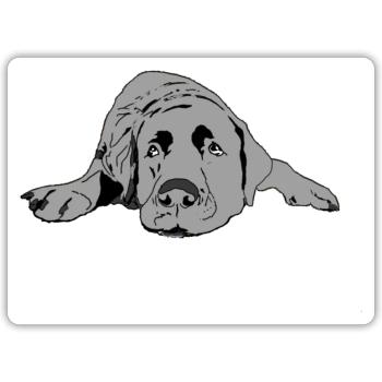 Labrador - Sticker Größe S (10 x 10 cm) - Mattweiß - Vorne