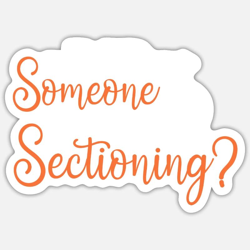 Did someone say sectioning Sticker size S (10 x 10 cm)