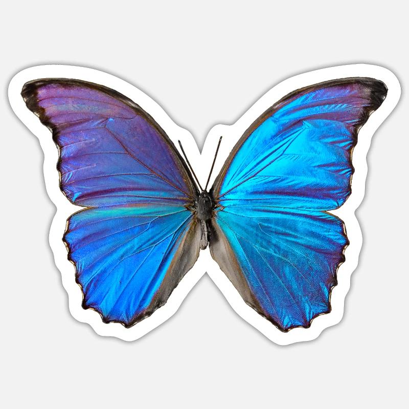 Blauer Schmetterling - Sticker Größe S (10 x 10 cm) - Mattweiß