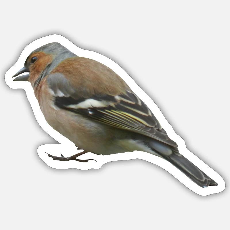 Buchfink (seitlich) - Sticker Größe S (10 x 10 cm) - Mattweiß