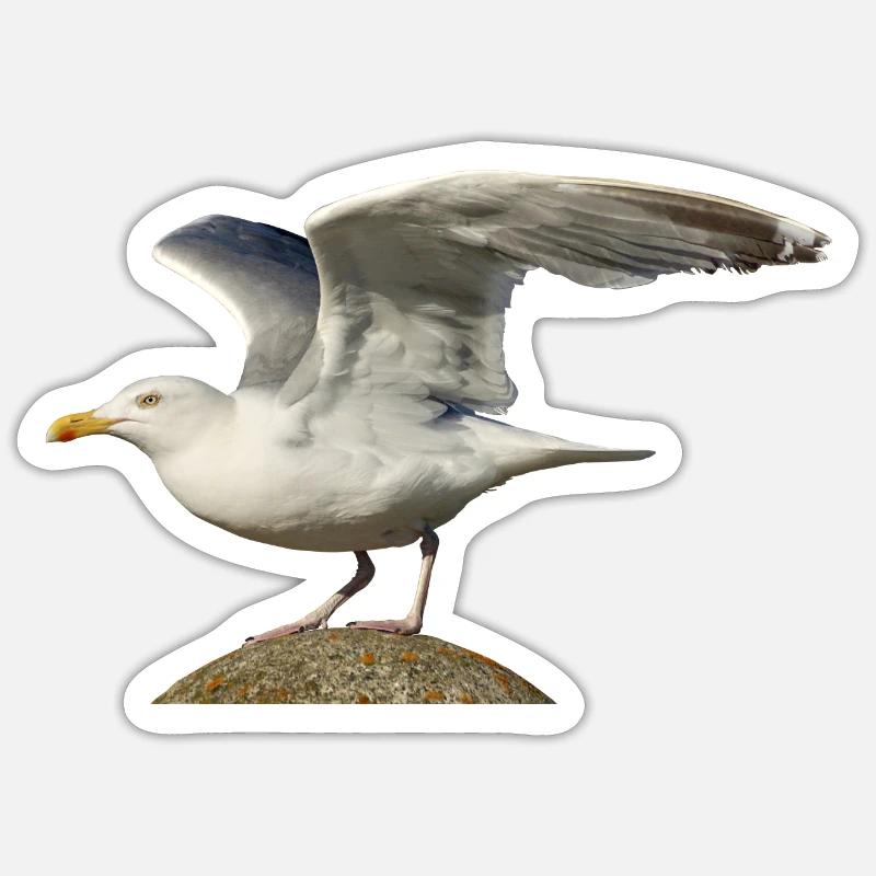 mouette mouette Möwe2 - Sticker taille S (10 x 10 cm) - blanc mat