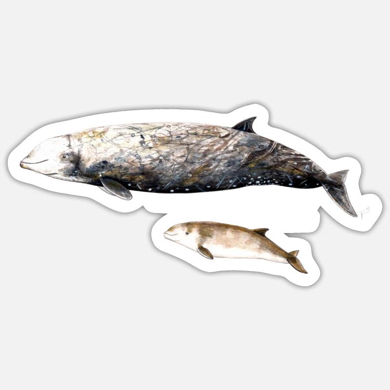 Cuvier-Schnabelwal - Cuvier-Schnabelwal Schnabelwal - Sticker Größe S (10 x 10 cm) - Mattweiß