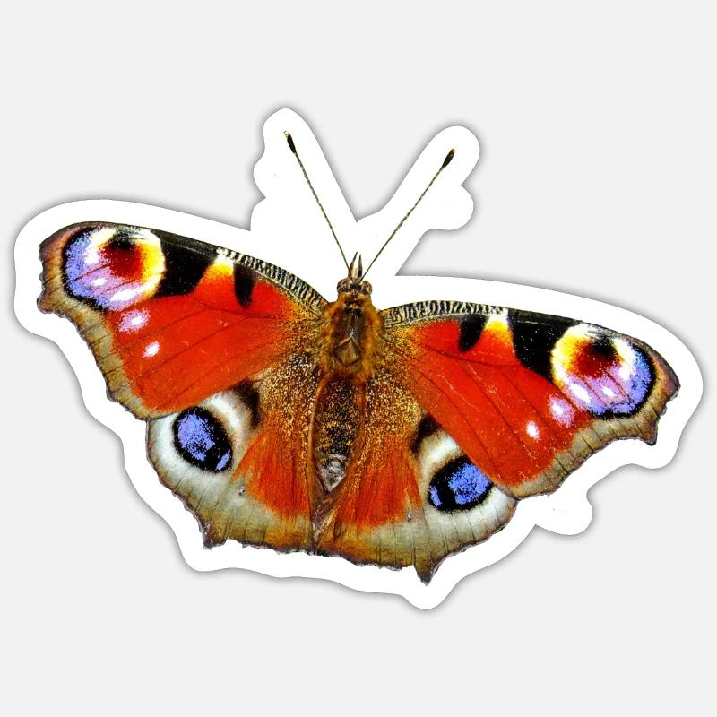 Butterfly peacock butterfly - Sticker size S (10 x 10 cm) - white matte