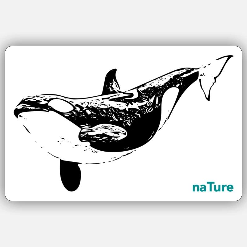Killerwal - Sticker Größe S (10 x 10 cm) - Mattweiß