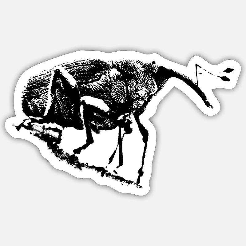 Perceuse à glands / Charançon / Insecte Sticker taille S (10 x 10 cm)