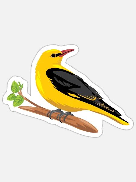 Oriole sitzt auf einem Ast - Sticker Größe S (10 x 10 cm) - Mattweiß