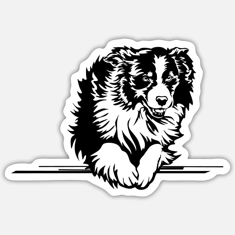 Australian Shepherd - Sticker taille S (10 x 10 cm) - blanc mat