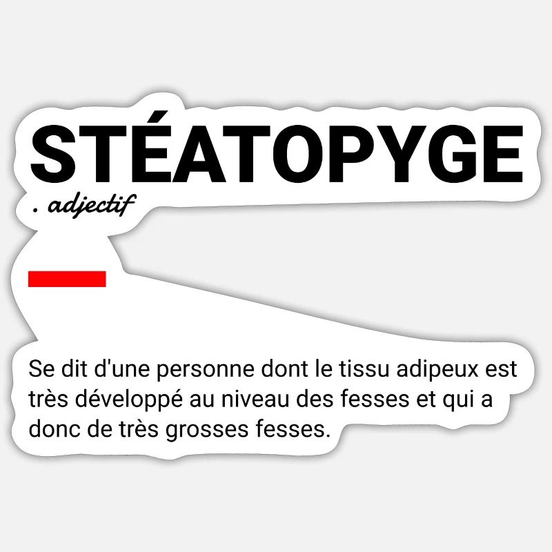 Stéatopyge définition - Sticker taille S (10 x 10 cm) - blanc mat