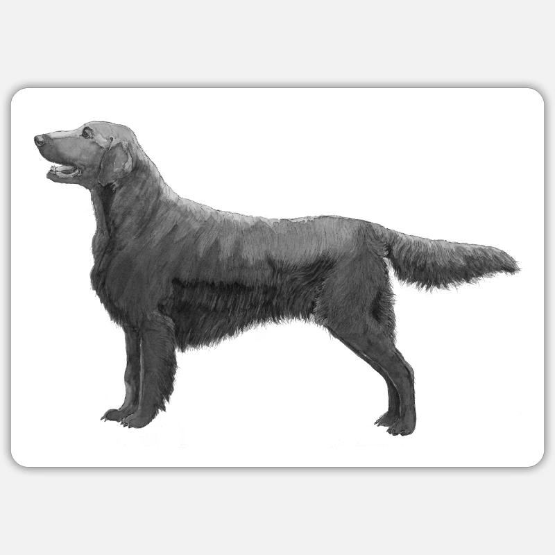 Flatcoated Retriever sticker - Sticker size S (10 x 10 cm) - white matte