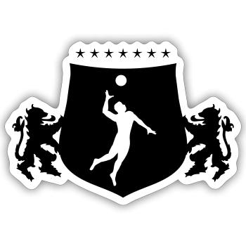 Armoiries de handball - Sticker taille S (10 x 10 cm) - blanc mat - Devant