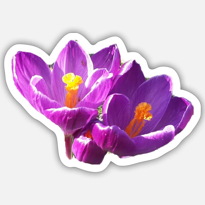 fleurs,fleur,printemps,fleurs,tulipes,crocus - Sticker taille S (10 x 10 cm) - blanc mat