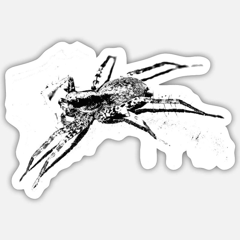 Spider, A731400 - Sticker size S (10 x 10 cm) - white matte