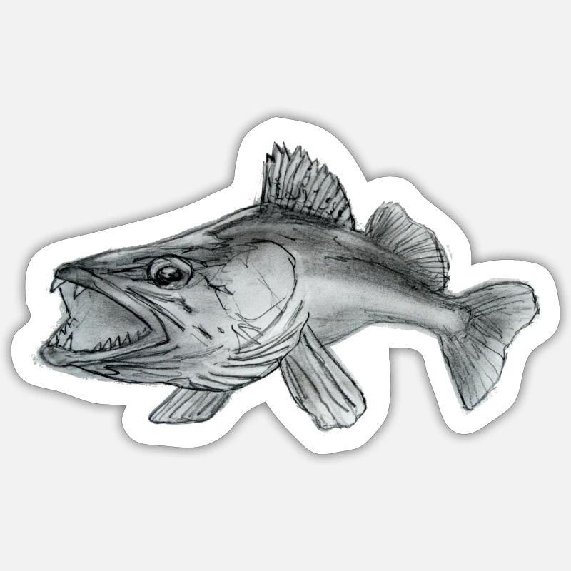 Zander Sticker Größe S (10 x 10 cm)