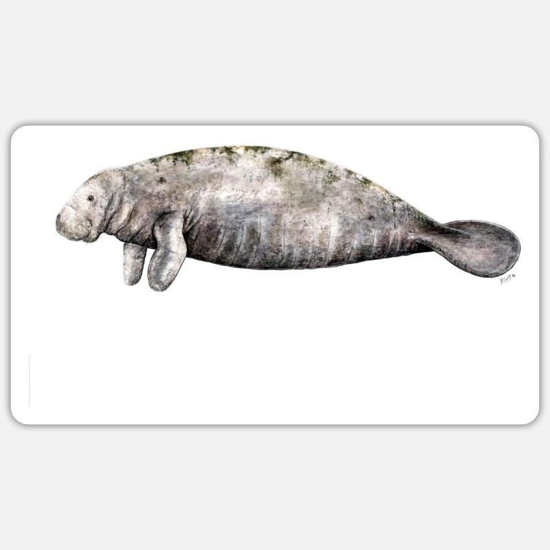 Manati - Manatee - Lamantin - Sticker size S (10 x 10 cm) - white matte