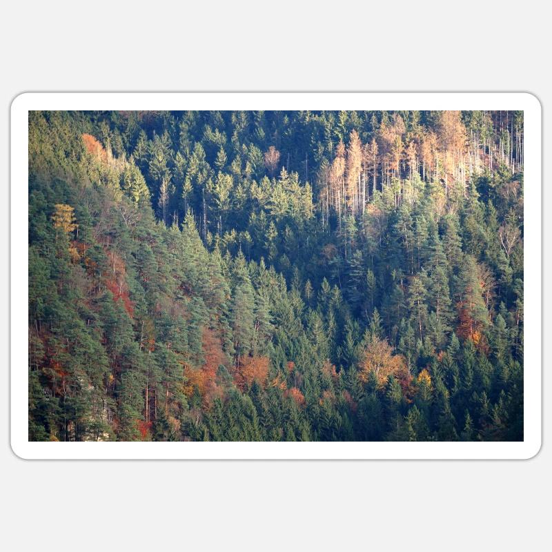 Skogsaffisch Klistermärke