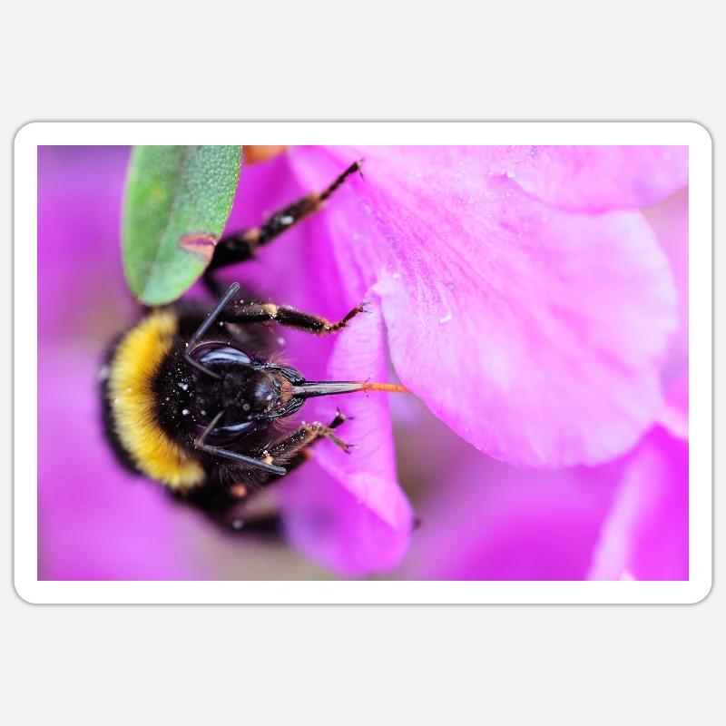 Abeille sur la violette - Sticker taille S (10 x 10 cm) - blanc mat