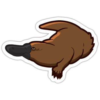 Un ornithorynque avec un grand bec de canard - Sticker taille S (10 x 10 cm) - blanc mat - Devant
