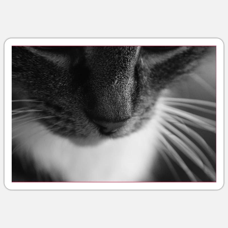 Chat noir blanc Sticker taille S (10 x 10 cm)