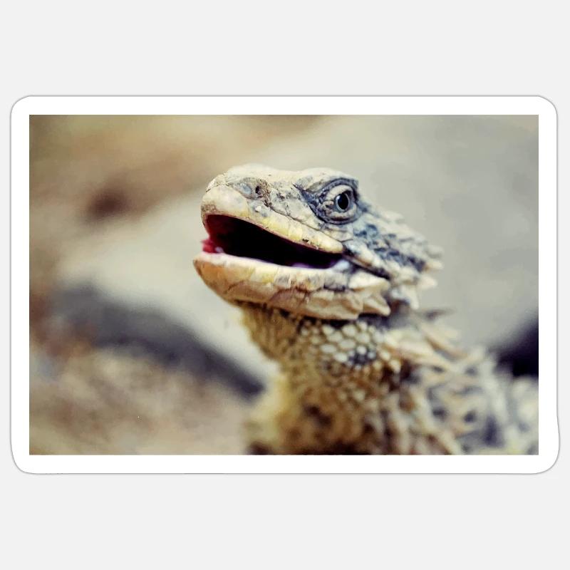 Bartagame - Sticker Größe S (10 x 10 cm) - Mattweiß
