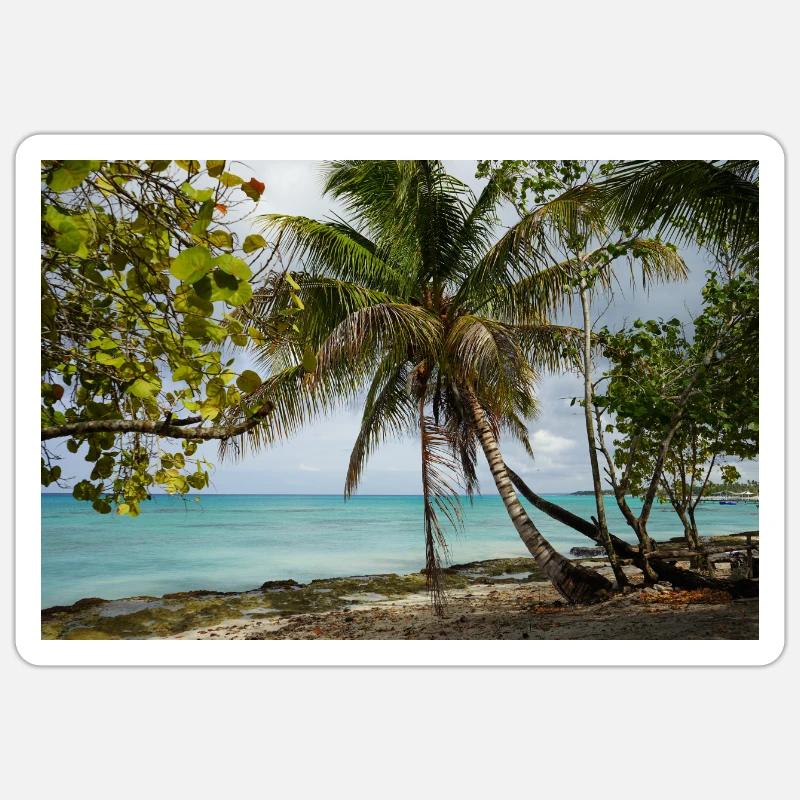 Palmiers et sable blanc, de sorte que les vacances se sentent Sticker taille S (10 x 10 cm)