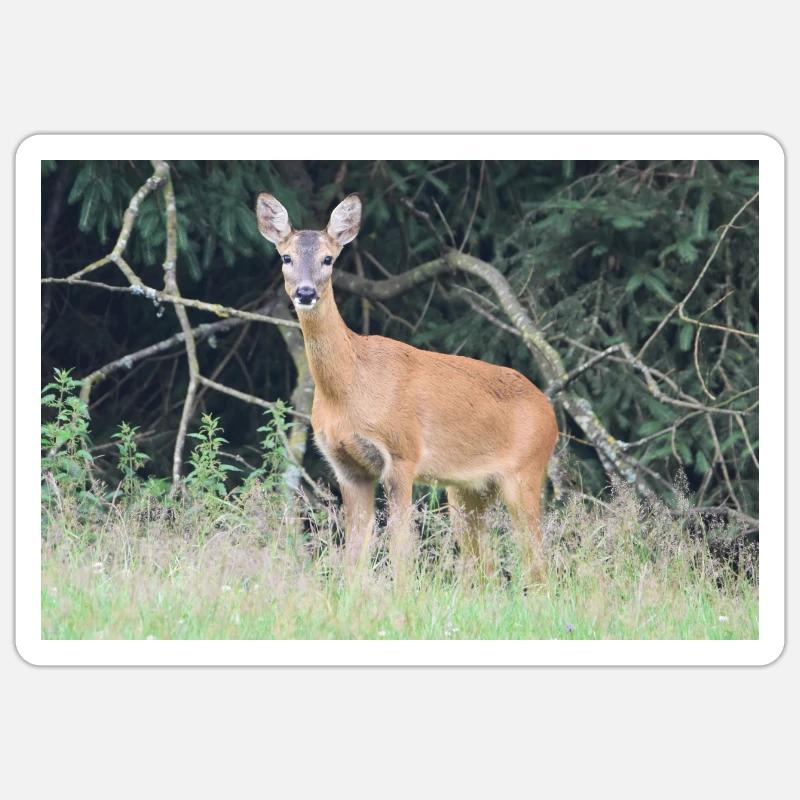 Deer forest - Sticker size S (10 x 10 cm) - white matte