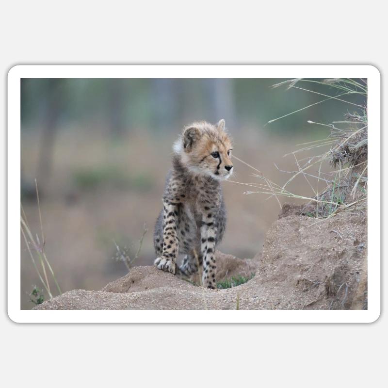 Junger Gepard Sticker Größe S (10 x 10 cm)