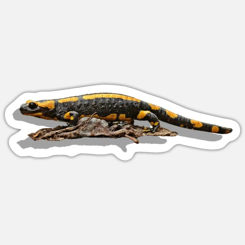 Salamandre - Sticker taille S (10 x 10 cm) - blanc mat