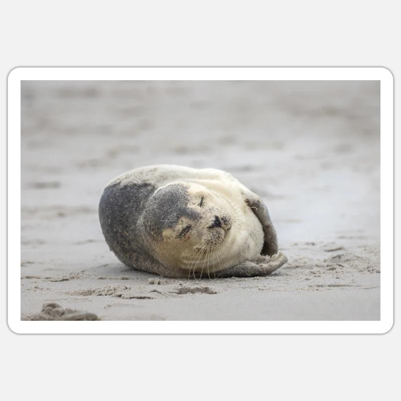 Bébé phoque sur la plage Sticker taille S (10 x 10 cm)
