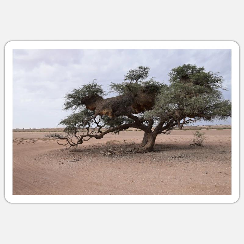 Wüste Baum Afrika Sahara Namibia Geschenk Idee - Sticker Größe S (10 x 10 cm) - Mattweiß