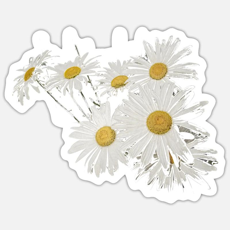 Hintergrund mit Gänseblümchenblumen Sticker Größe S (10 x 10 cm)