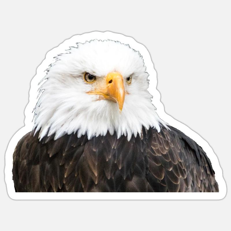 Aigle - Sticker taille S (10 x 10 cm) - blanc mat