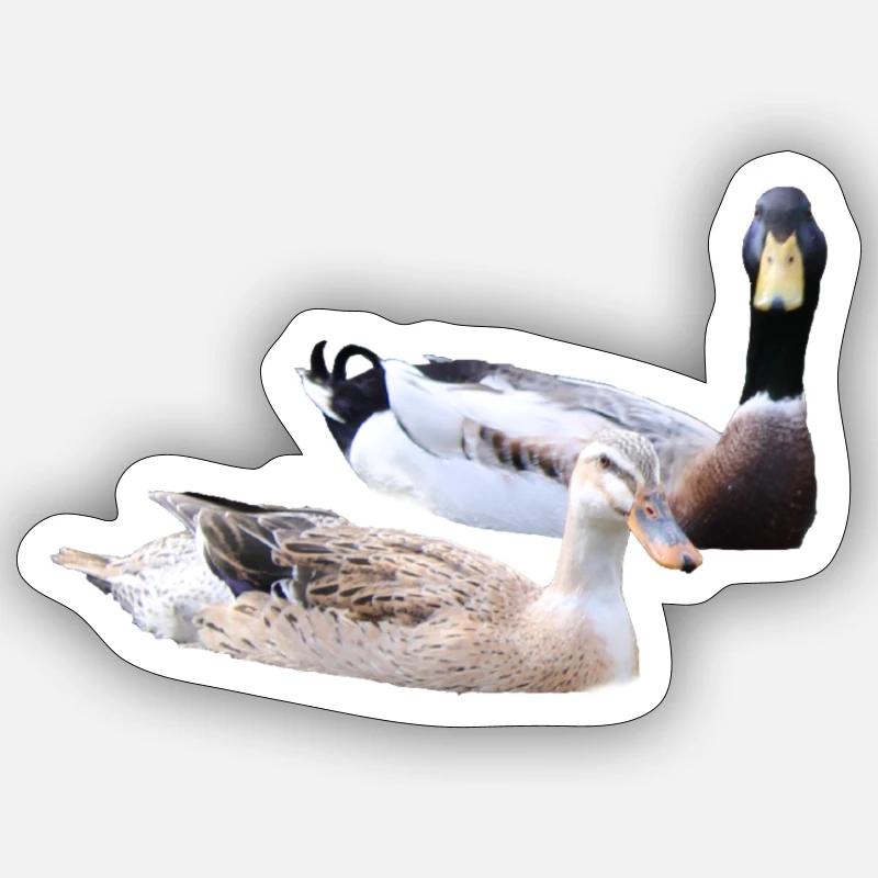 Laufenten Sticker Größe S (10 x 10 cm)