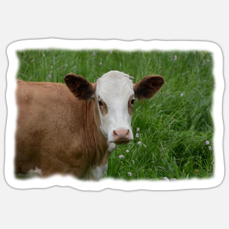 Die Kuh - Sticker Größe S (10 x 10 cm) - Mattweiß