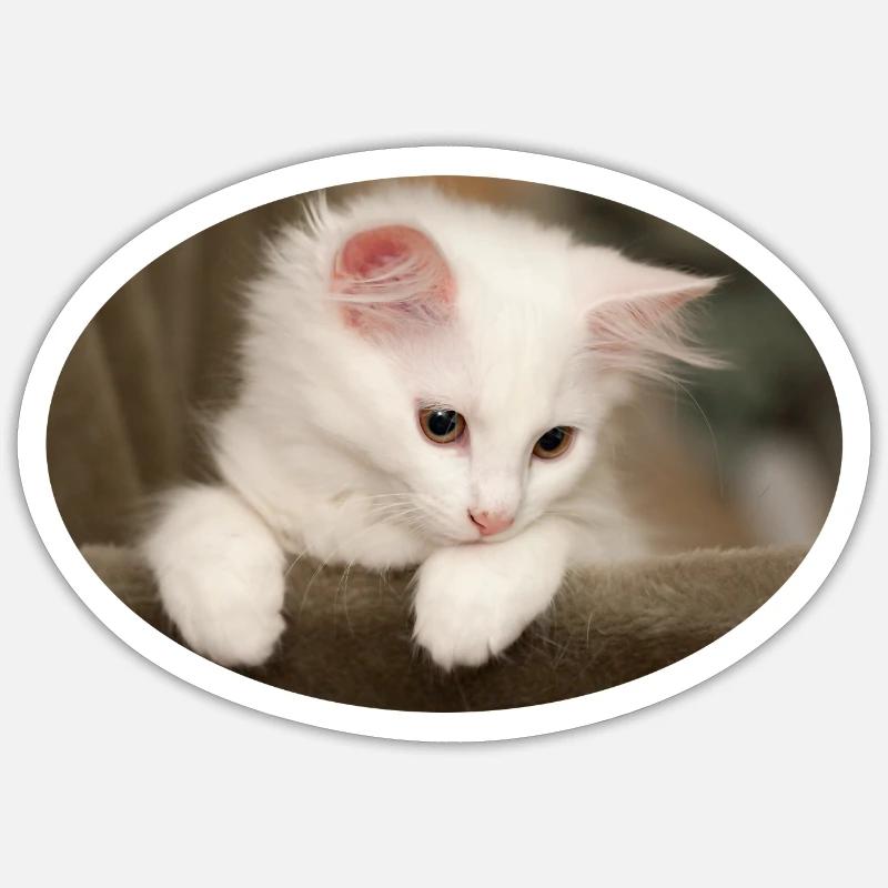 Kitten - Sticker size S (10 x 10 cm) - white matte