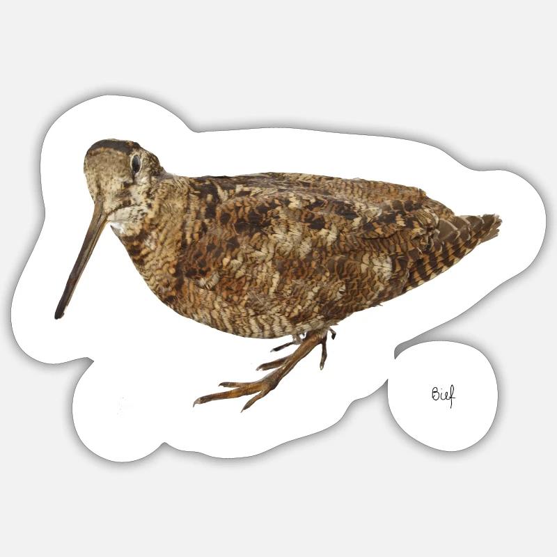 La beccaccia per cacciatore - Sticker formato S (10 x 10 cm) - bianco opaco