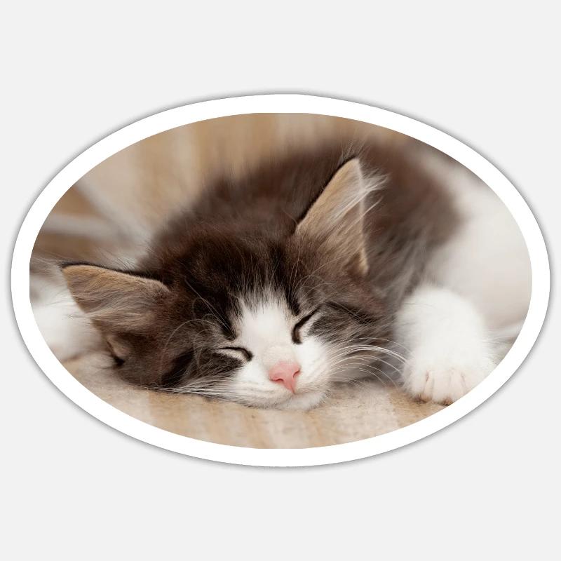 Sleeping cat Sticker size S (10 x 10 cm)